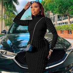 Women Edgy Basic Solid Color Autumn Fashion Turtle Neck Long Sleeve Bodycon Dress