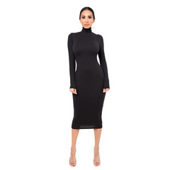Women Fashion Solid Color Turtle Neck Long Sleeve Dress