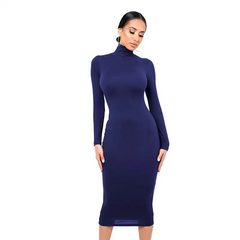 Women Fashion Solid Color Turtle Neck Long Sleeve Dress