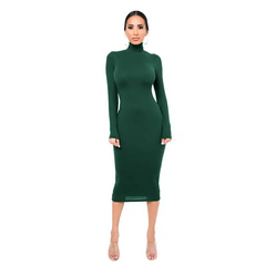 Women Fashion Solid Color Turtle Neck Long Sleeve Dress