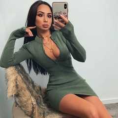 Women Sexy Solid Color Zipper Long Sleeve Mini Dresses