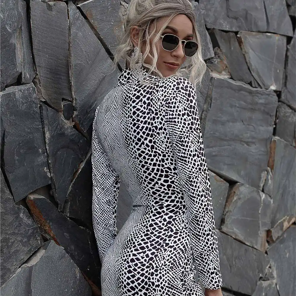Women Fashion Animal Print Long Sleeve Dress