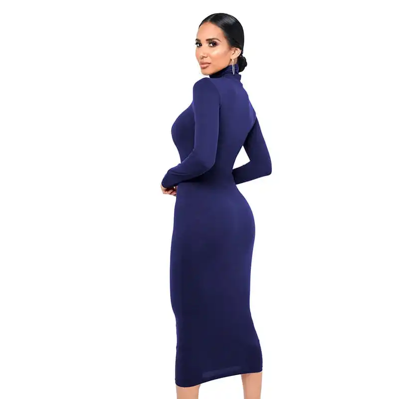 Women Fashion Solid Color Turtle Neck Long Sleeve Dress