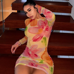 Print Round Neck Mesh See-Through Dress