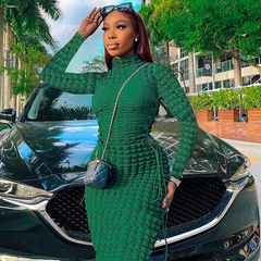 Women Edgy Basic Solid Color Autumn Fashion Turtle Neck Long Sleeve Bodycon Dress