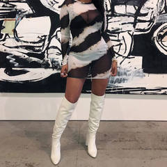 Women Sexy Stripe Printing See-Through Long Sleeve Mini Dress