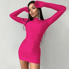 High Neck Long Sleeve Gloves Bodycon Dress