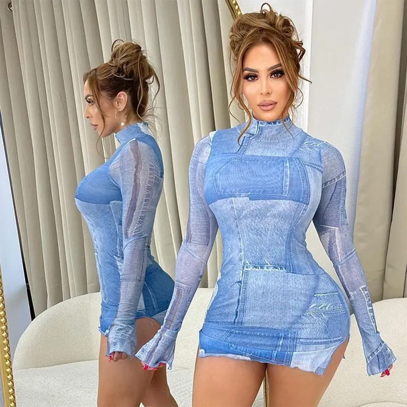 Printed High Neck Long Sleeve Bodycon Dress