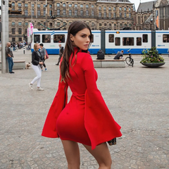 Fluttering Sleeve Turtle Neck Mini Dress