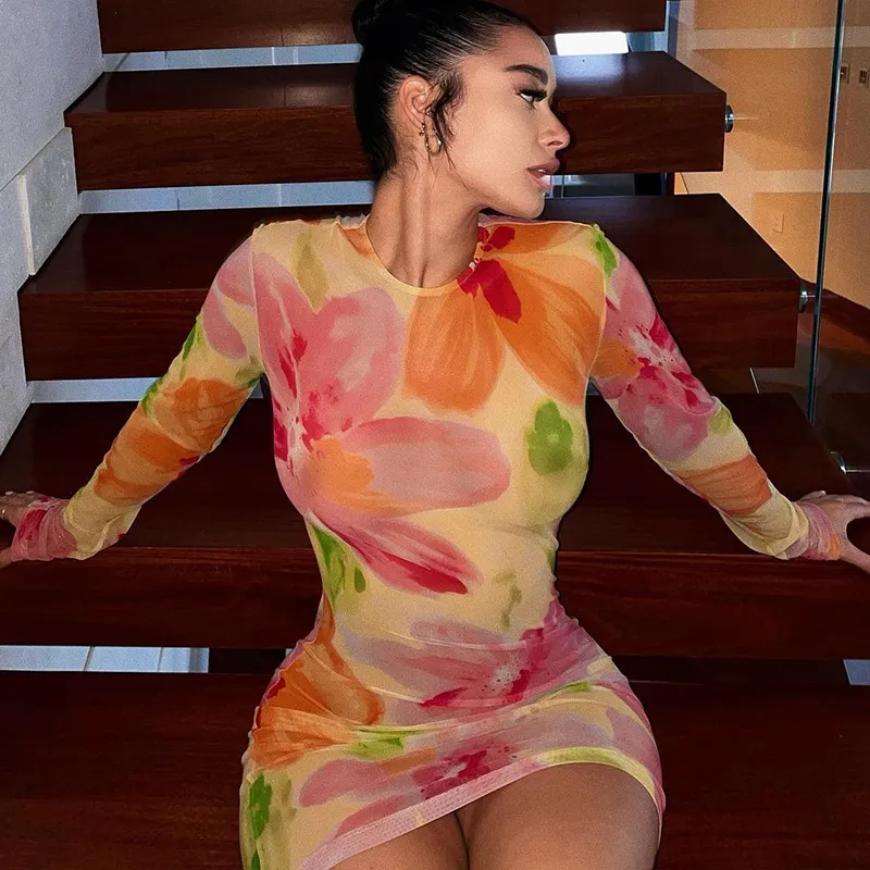 Print Round Neck Mesh See-Through Dress