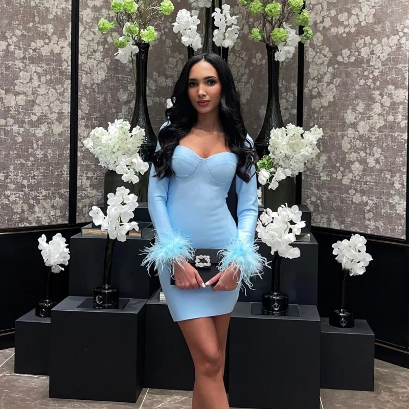 Low-Cut Long-Sleeved Feather Mini Dress