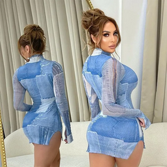 Printed High Neck Long Sleeve Bodycon Dress