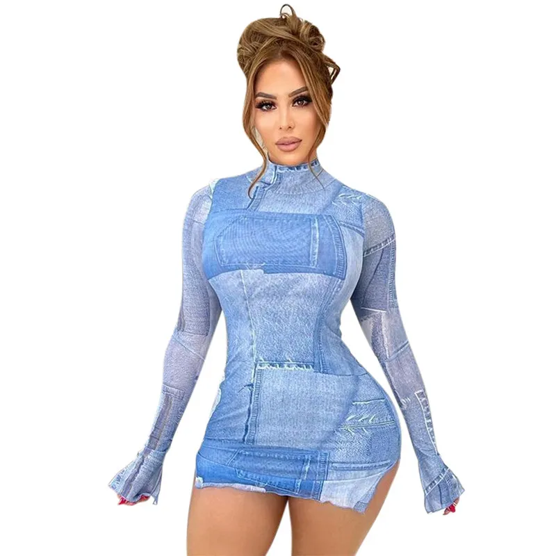 Printed High Neck Long Sleeve Bodycon Dress