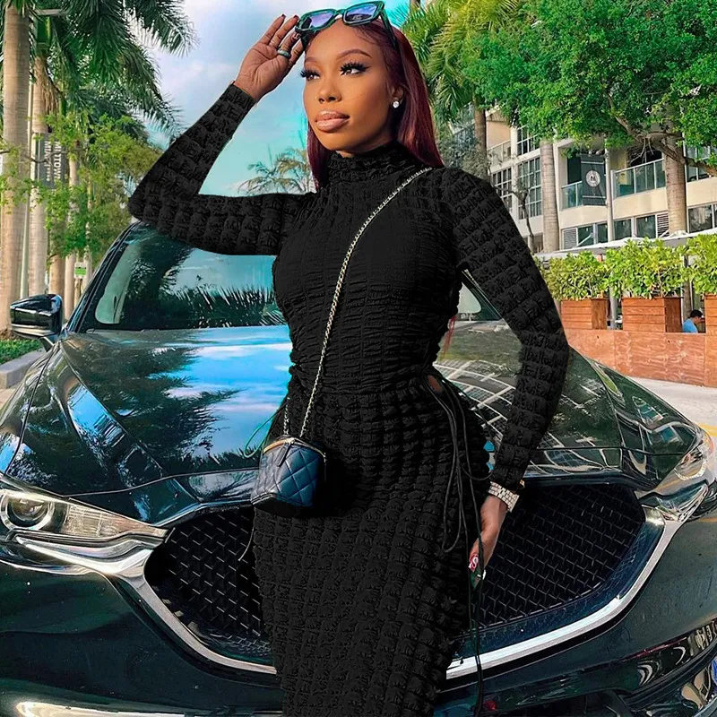 Women Edgy Basic Solid Color Autumn Fashion Turtle Neck Long Sleeve Bodycon Dress
