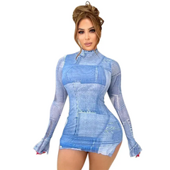 Printed High Neck Long Sleeve Bodycon Dress